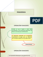 2.- Fehaciencia y Capacidad pdf v