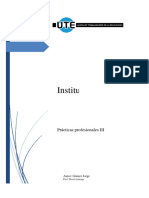 Trabajo de Investigación, Proyecto, Plan y Programa. Prácticas Profesionales III - Gómez Jorge 2022