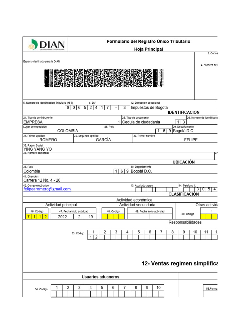 Formato Rut | PDF