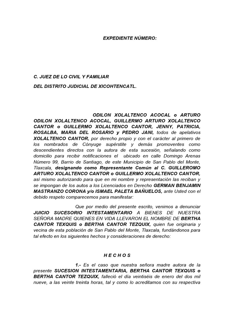 Juicio Sucesorio Intestamentario en Tlaxcala | PDF | Gobierno | Justicia