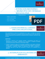 Ruta de Atencion Materno-Perinatal