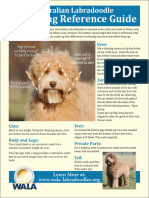 Grooming Reference Guide: Australian Labradoodle