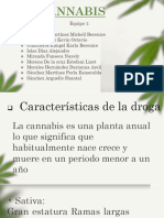 Expo Cannabis