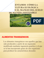 Diapositivas de La Clases de La Agricultura Ecologica