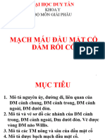 Mach Mau Dam Roi Co