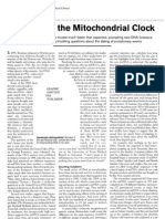 Calibrating The Mitochondrial Clock