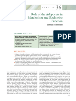 Role of The Adipocyte in Metabolism