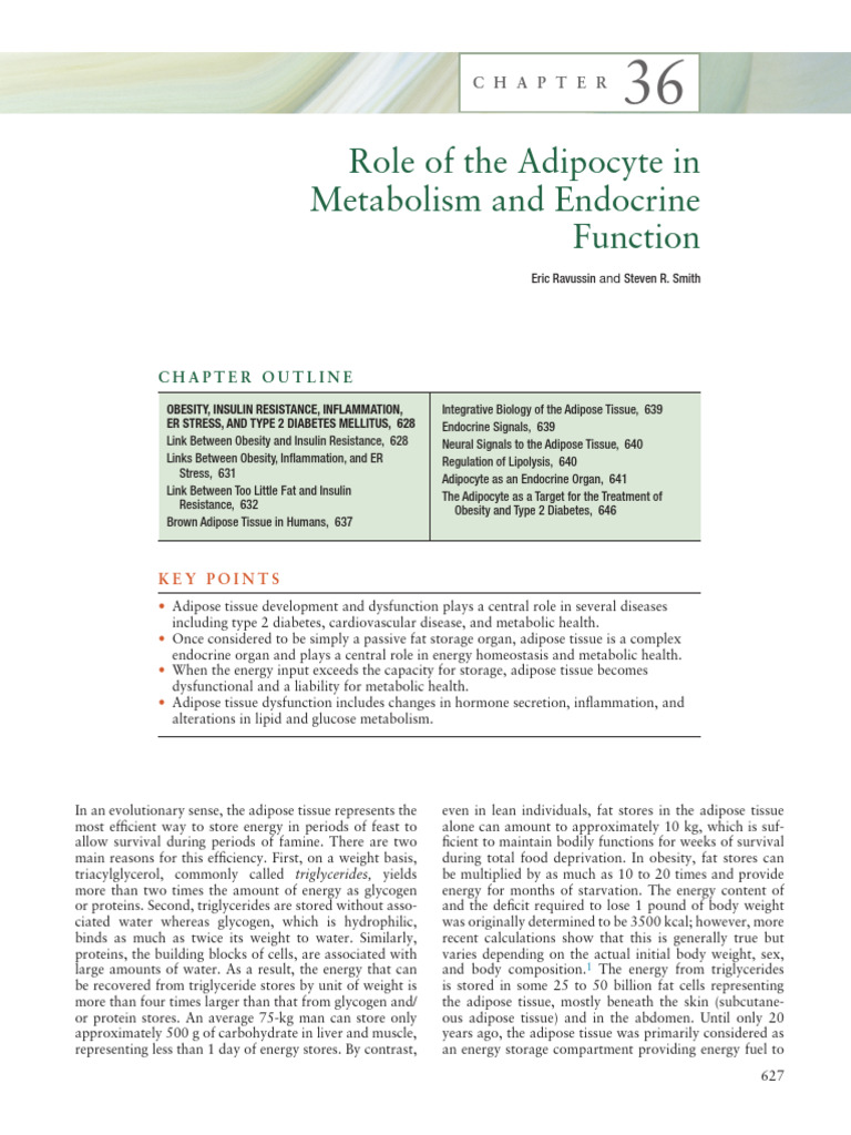 Role of The Adipocyte in Metabolism | PDF | Adipose Tissue | Adipocyte