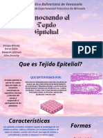 Tejido Epitelial