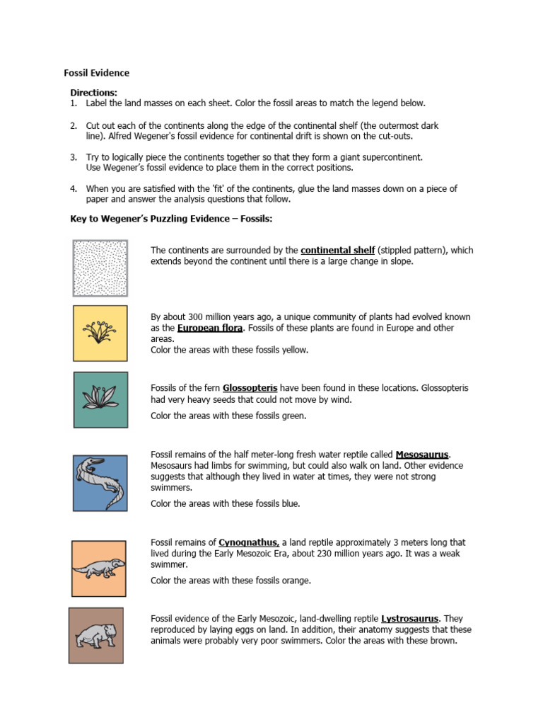 Acivity Group 2 Fossil evidence PDF Continent Earth Sciences