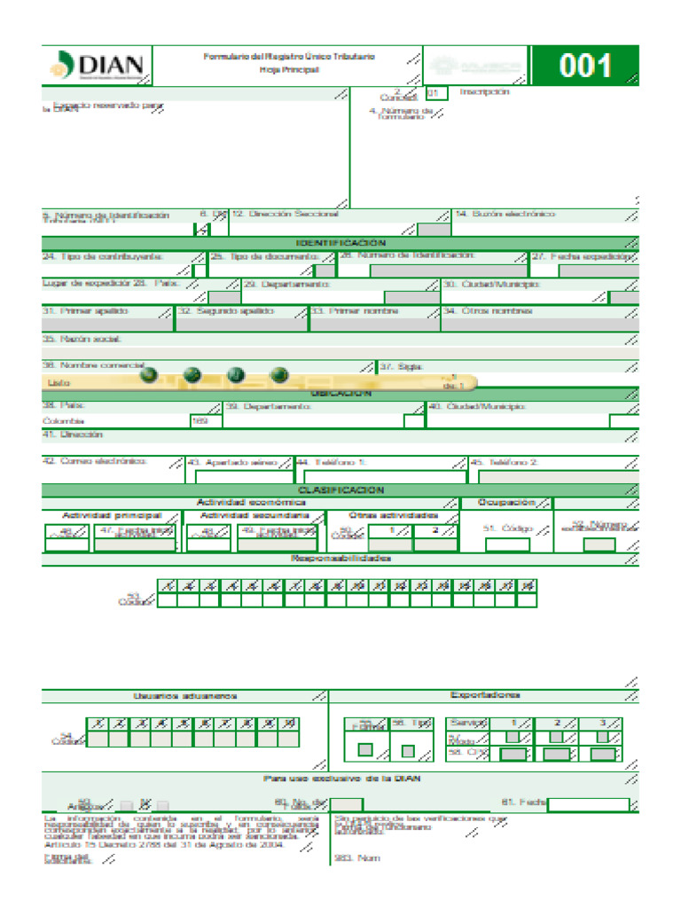 DIAN | PDF