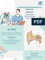 La Audición Relacionada Al Lenguaje - 20240111 - 152431 - 0000