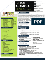 CV Profesional