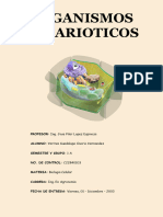 Organismos Eucarioticos