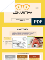 Conjuntiva 