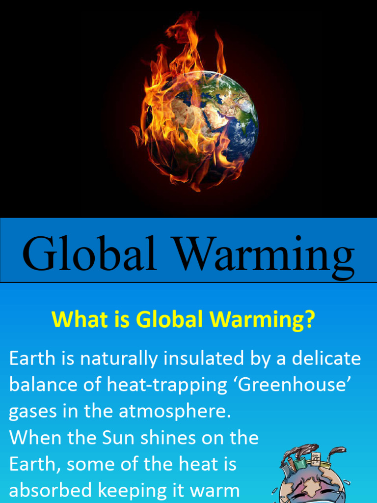 Class 9 IT Project On Global Warming | PDF