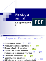 Fisiologia Animalreproduccioni 1212960820632044 8