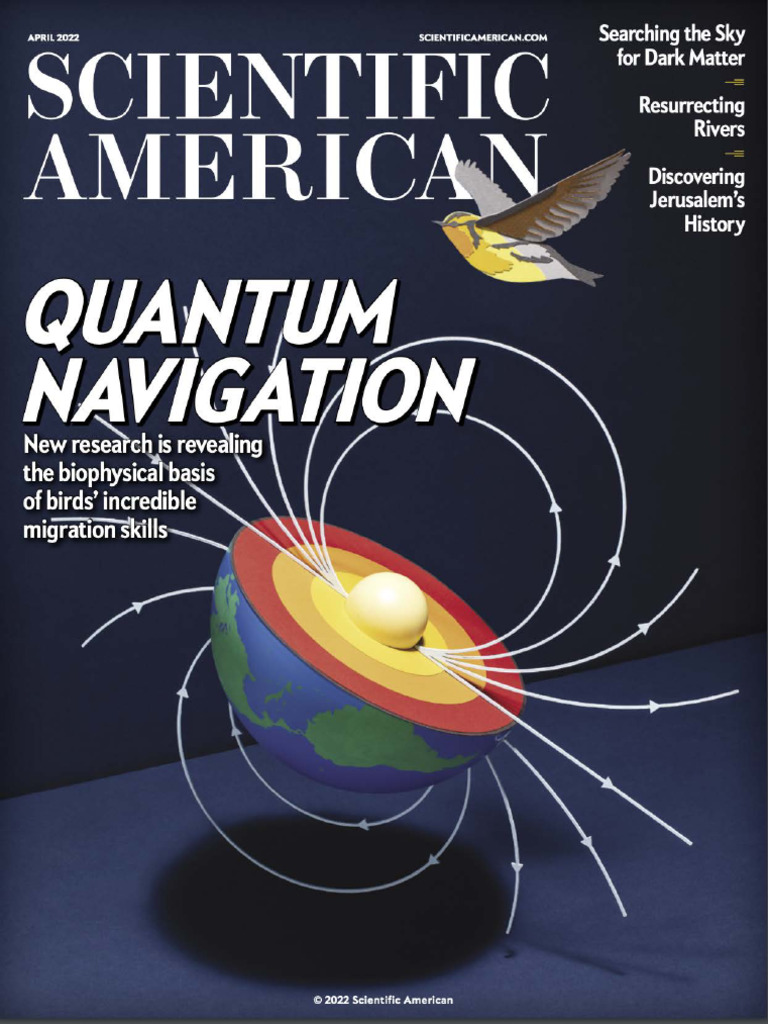 The Quantum Nature of Bird Migration | PDF | Spin (Physics) | Bird ...
