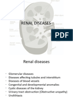 Renal Lectures 2022