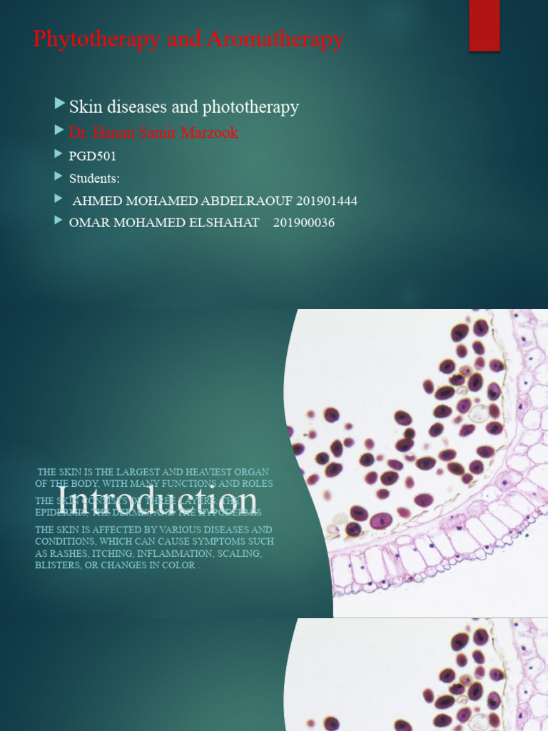 Skin Diseases and Their Treatments | PDF | Dermatitis | Epidermis