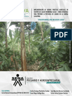 Implementacion Practicas Agricolas Cacao NTC 1338