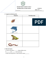 Respiration in Organisms Worksheet