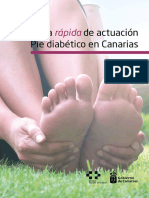 Guia Rapid A Pie Diabetic o