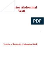 Posterior Abdominal Wall 2