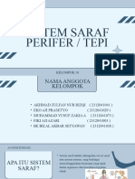 Sistem Saraf Perifer / Tepi: Kelompok 10