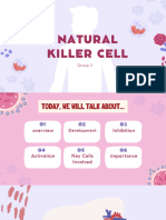 NAtural Killer Cell