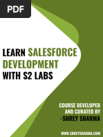 Salesforce Developer Ebook - 1 - 1 - Compressed