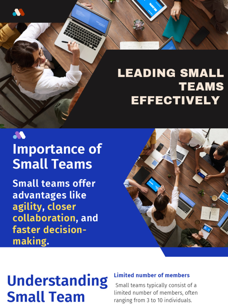 Effective Leadership in Small Teams | PDF | Goal | Collaboration