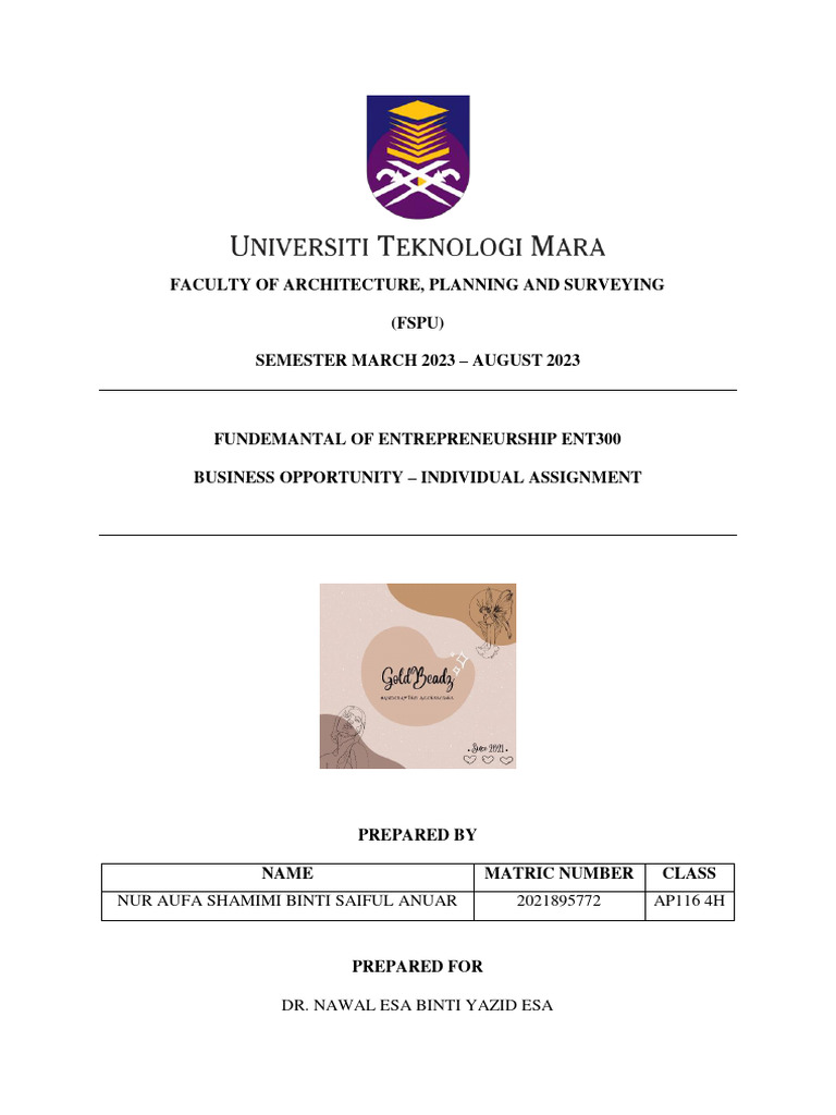 Ent300 Individual Assignment | PDF | Entrepreneurship | Pricing