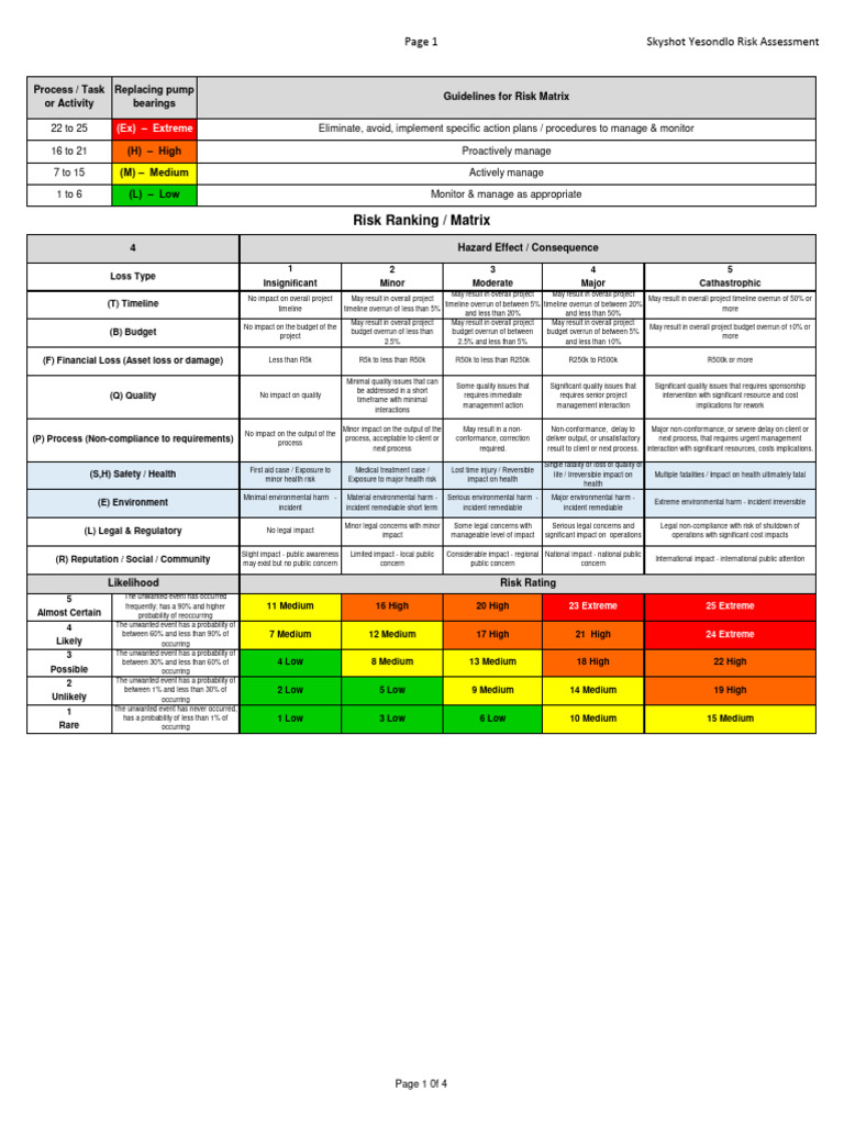 Skyshot Yesondlo Risk Assessment Guide | PDF | Risk | Personal ...