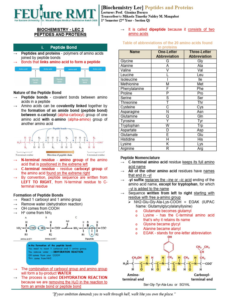 Peptides And Proteins Report Sheet Wallpaper For Iphone