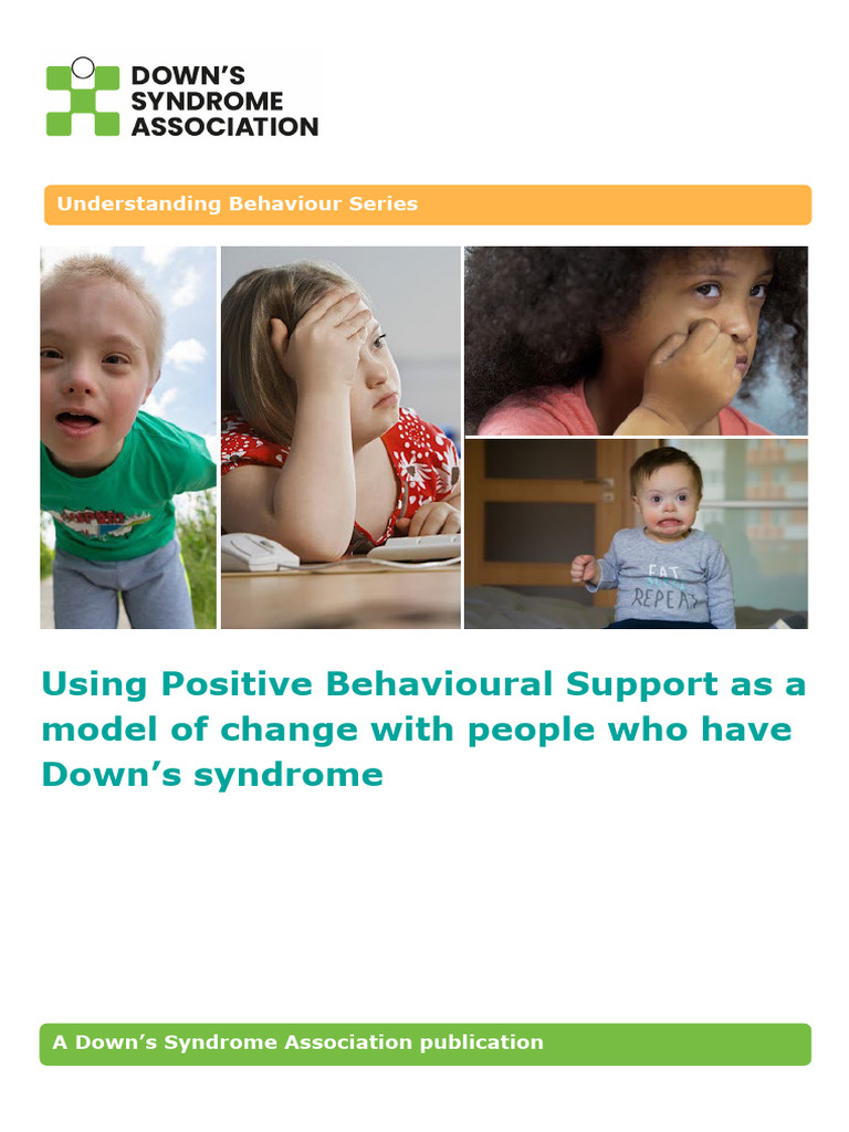 Positive Behaviour Support Final Sept 22 Pdf Reinforcement Behavior