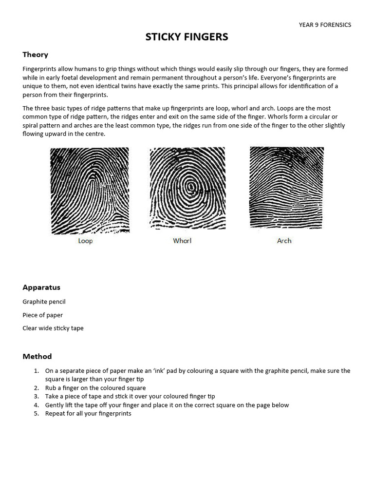 Year 9 Fingerprint Analysis Guide | PDF