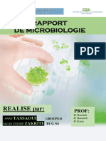 Rapport de Microbiologie: REALISE Par