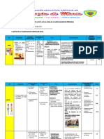 Planificacion Curricular Anual Cuarto Grado