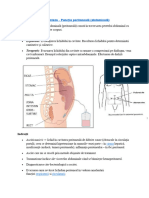 31.paracenteza - Puncția Peritoneală (Abdominală)