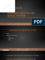 Chapter 50 Intro To Renal System