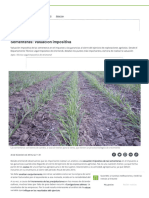 Sementeras - Valuación Impositiva - Agrofy News