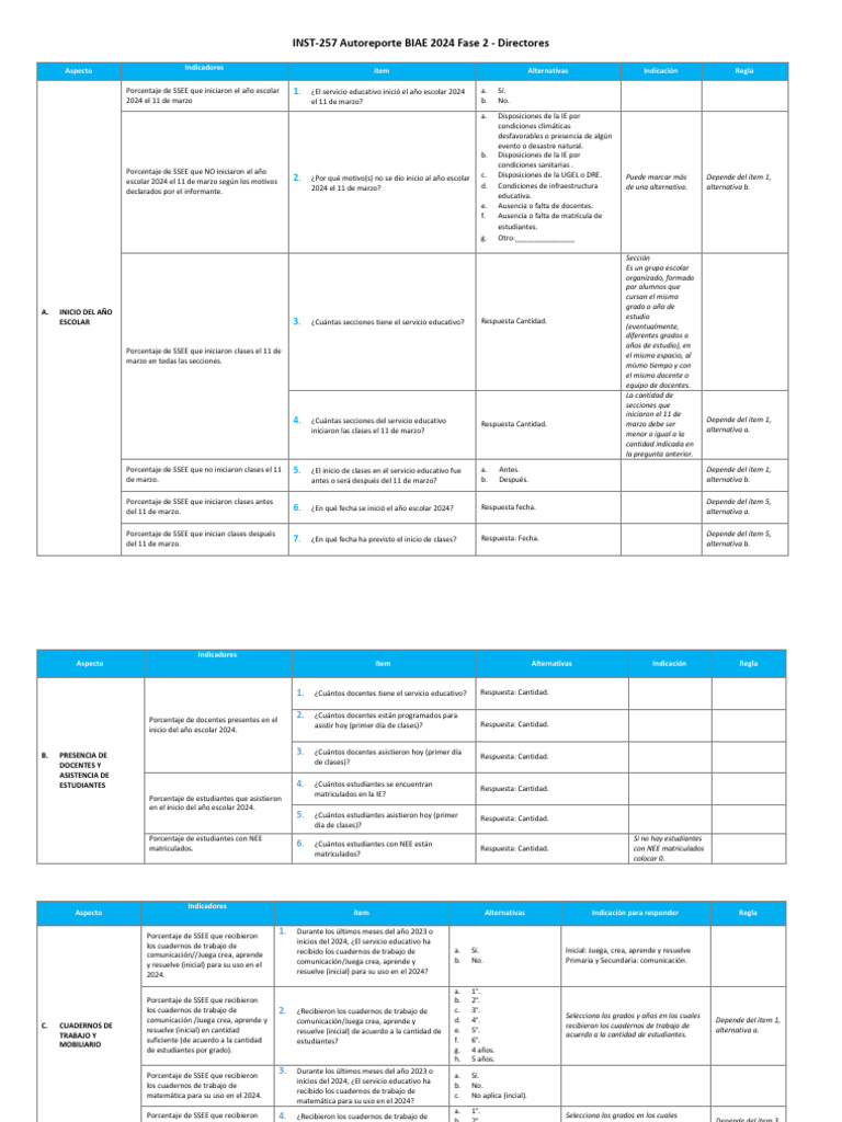 INST-257 Autoreporte BIAE 2024 Fase 2 - Directores | PDF