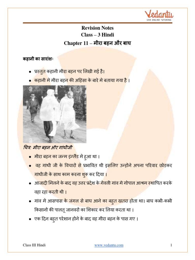 Meera Bahan Aur Bagh Class 3 Notes CBSE Hindi Chapter 11 (PDF) | PDF