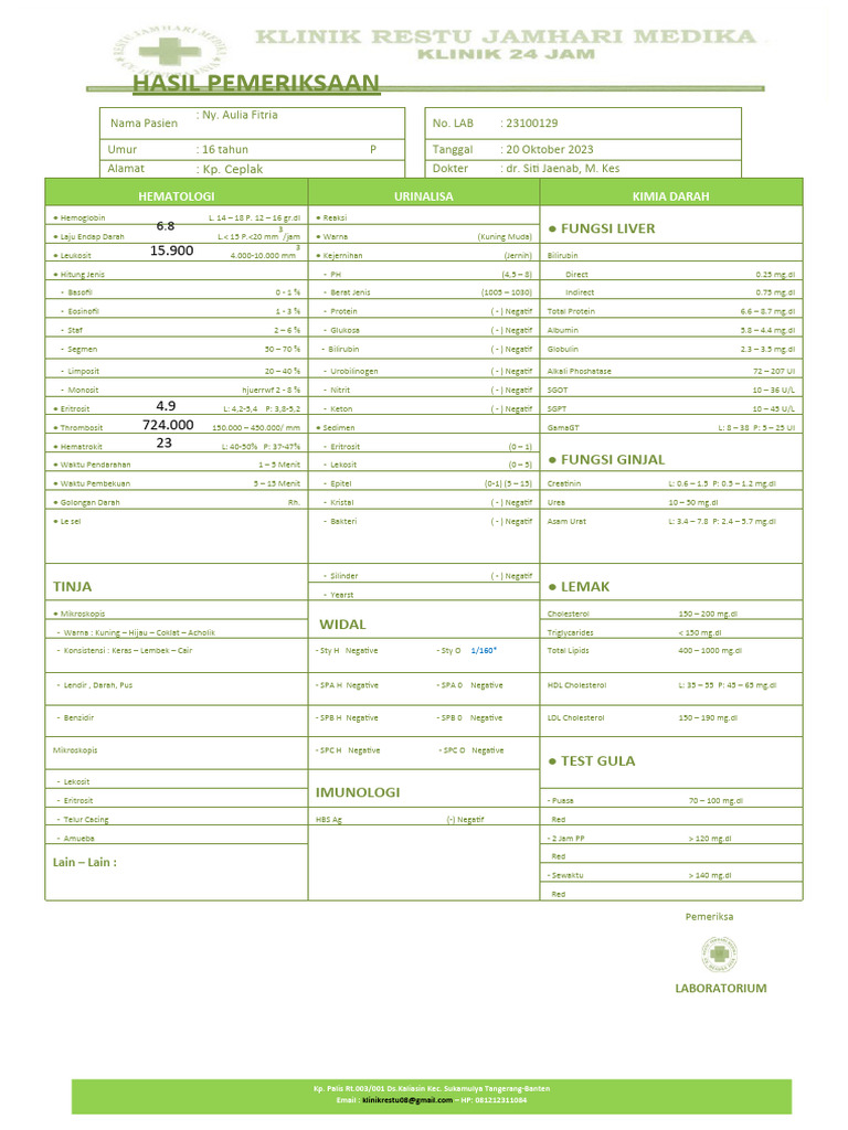Hasil Pemeriksaan Laboratorium Ny. Aulia | PDF