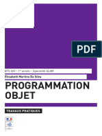 Programmation Objet 2950 TP