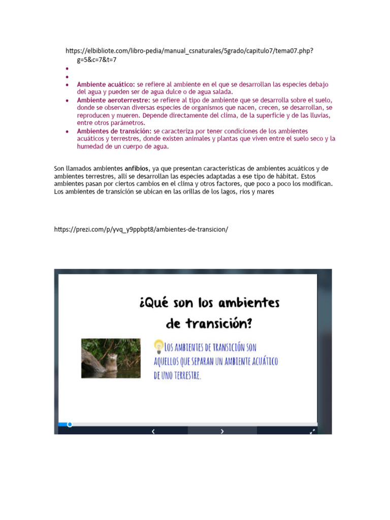 Características de los Ambientes de Transición | PDF