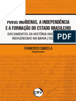 Povos Indigenas, A Indepêndencia e A Formação Do Estado Brasileiro