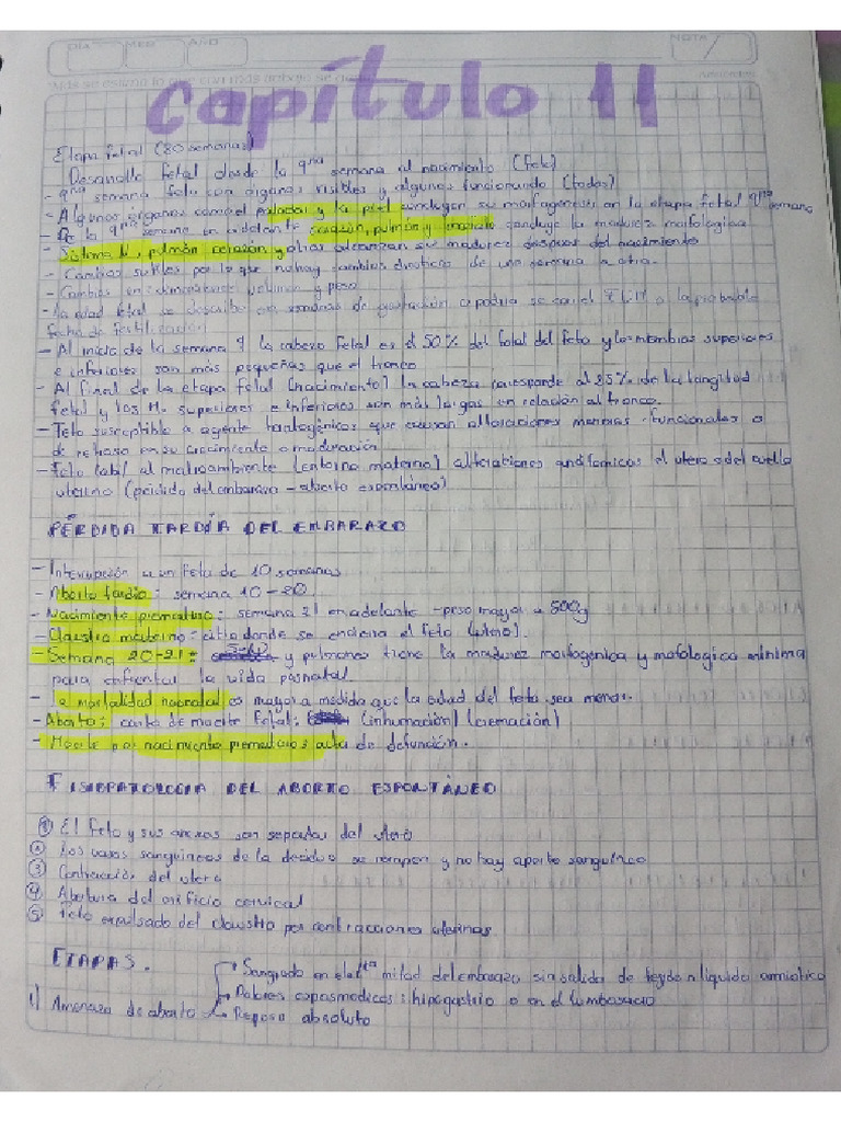 Resumen Cap 11 | PDF