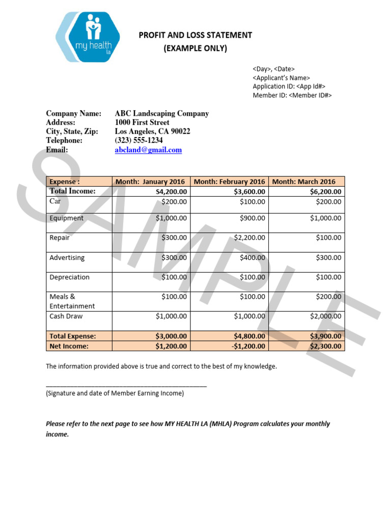 Sample Profit and Loss Statement | PDF | Expense | Income Statement